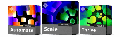 Automate, Scale, Thrive - The #1 Health & Wellness AI Course